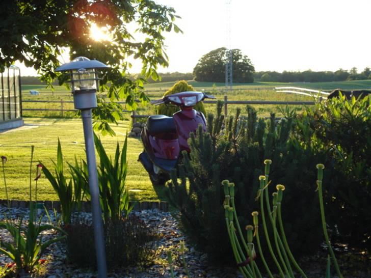 Yamaha Jog Fs billede 8