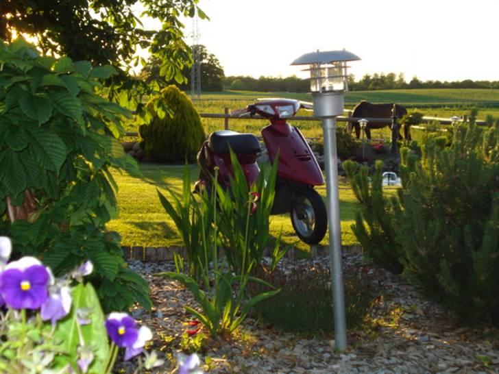 Yamaha Jog Fs billede 9