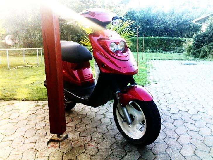 PGO Hot 50  billede 1