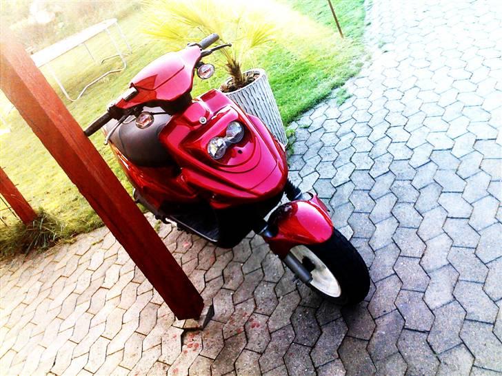 PGO Hot 50  billede 2