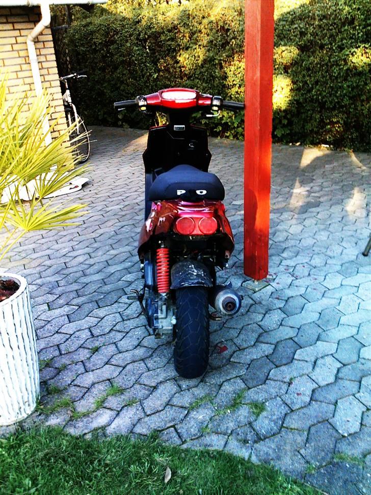 PGO Hot 50  billede 3