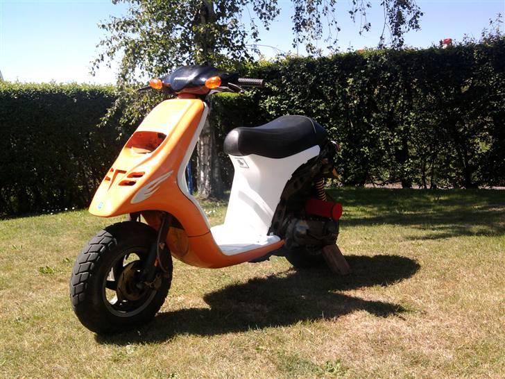 Piaggio typhoon BYTTET  billede 1