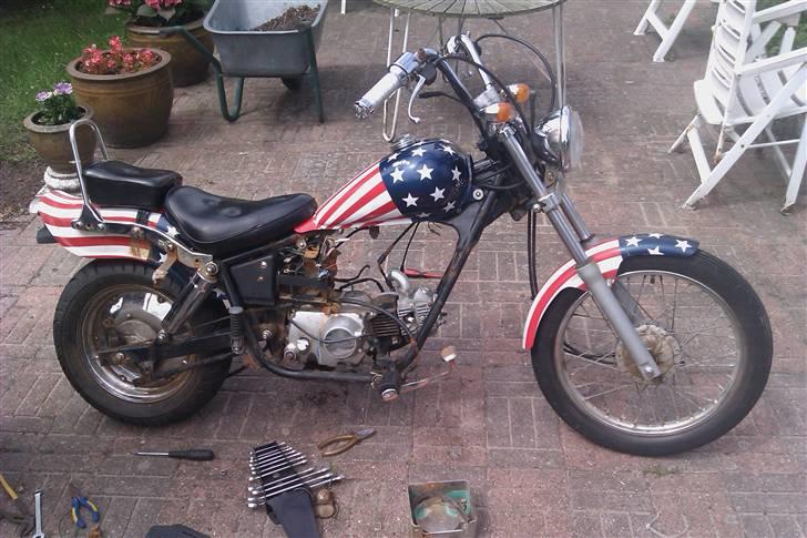 Regal raptor byttet billede 1