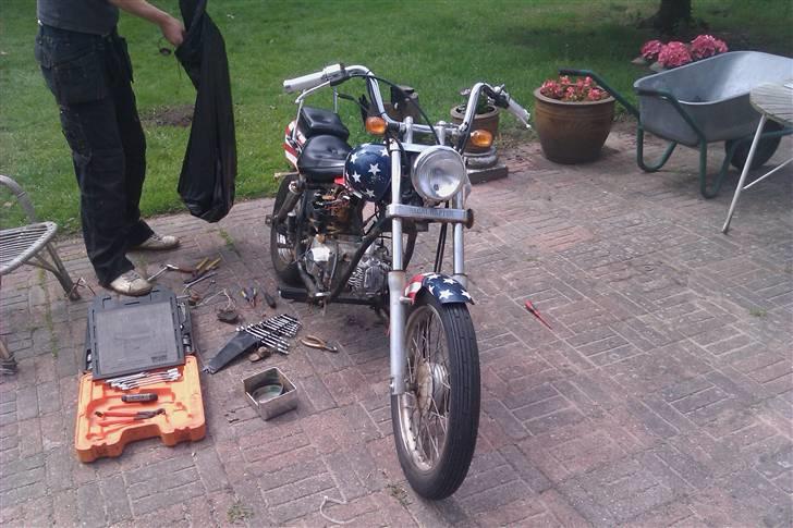 Regal raptor byttet billede 2