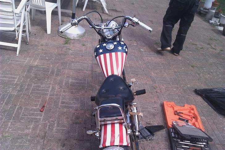 Regal raptor byttet billede 3