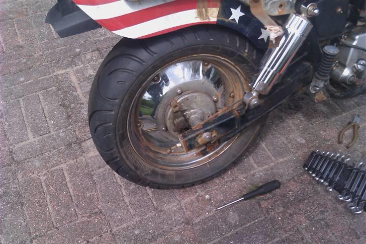 Regal raptor byttet billede 4