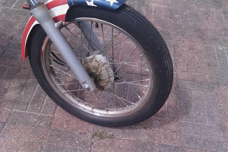 Regal raptor byttet billede 5