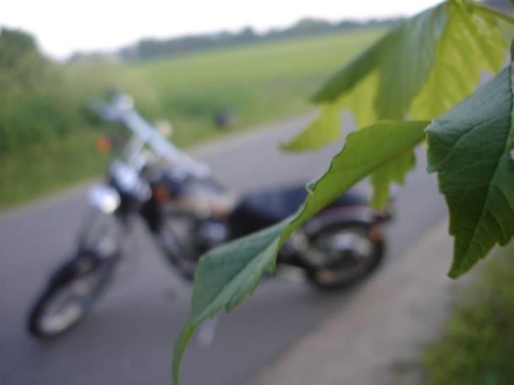 Kinroad Prince XT 50 Q  billede 1