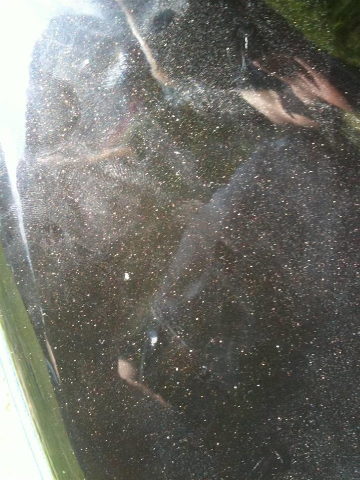 Aprilia Sonic ( AIRBRUSH ) BLÅLYN billede 12