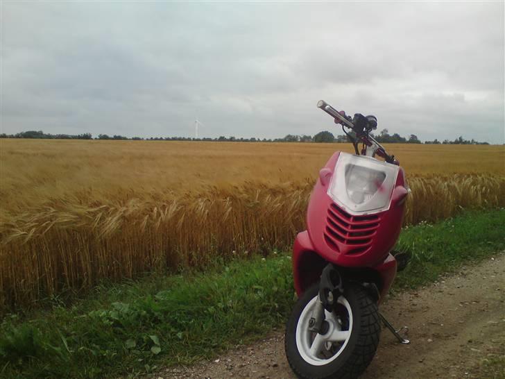 Aprilia sonic Stage6 AC billede 4