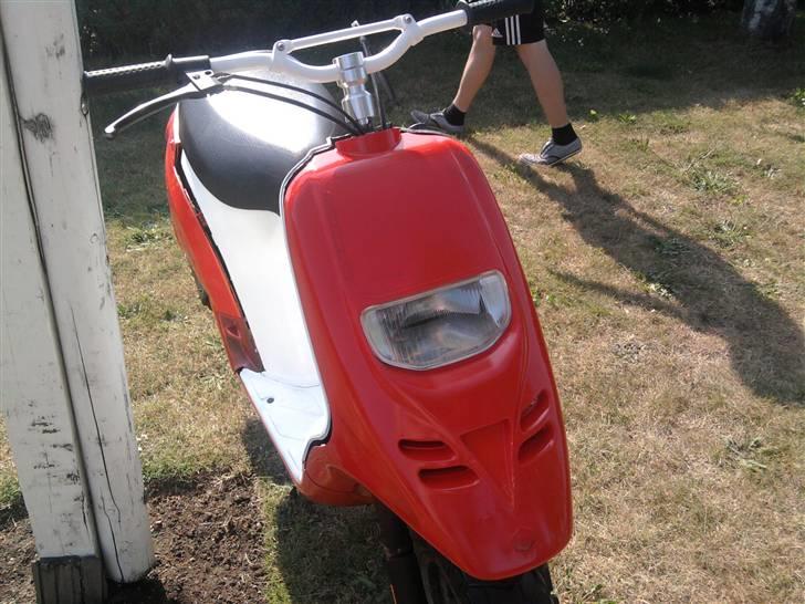 Piaggio typhoon BYTTET  billede 16