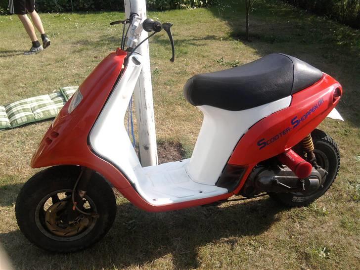 Piaggio typhoon BYTTET  billede 17