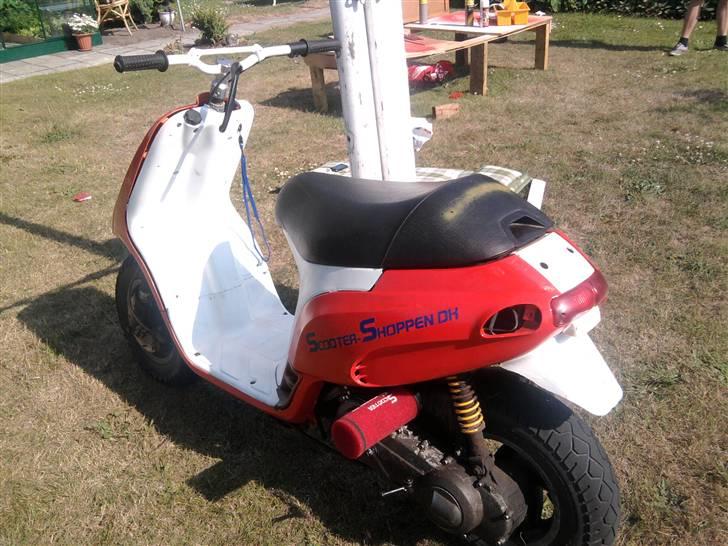 Piaggio typhoon BYTTET  billede 18