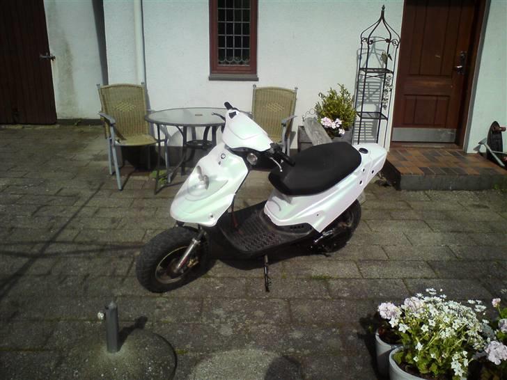 PGO Hot 50 (tidligere scooter) billede 6