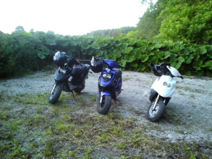 PGO Hot 50 (tidligere scooter) billede 7