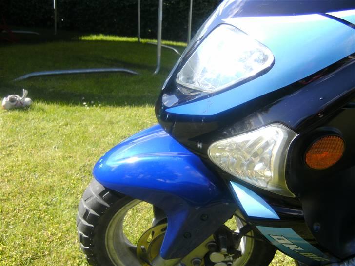 PGO dr.big SOLGT  billede 6