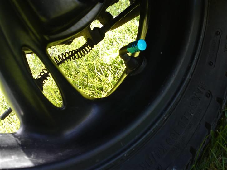 PGO dr big billede 6