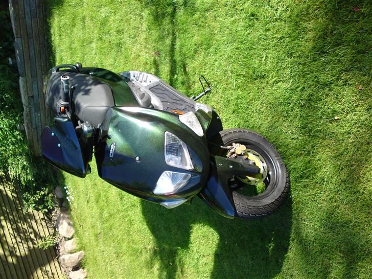 PGO dr big billede 7