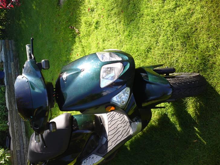 PGO dr big billede 8