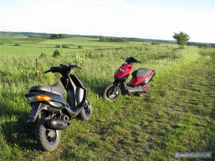 Gilera Stalker ( ombygning )  - Sådan var den før :)  billede 7