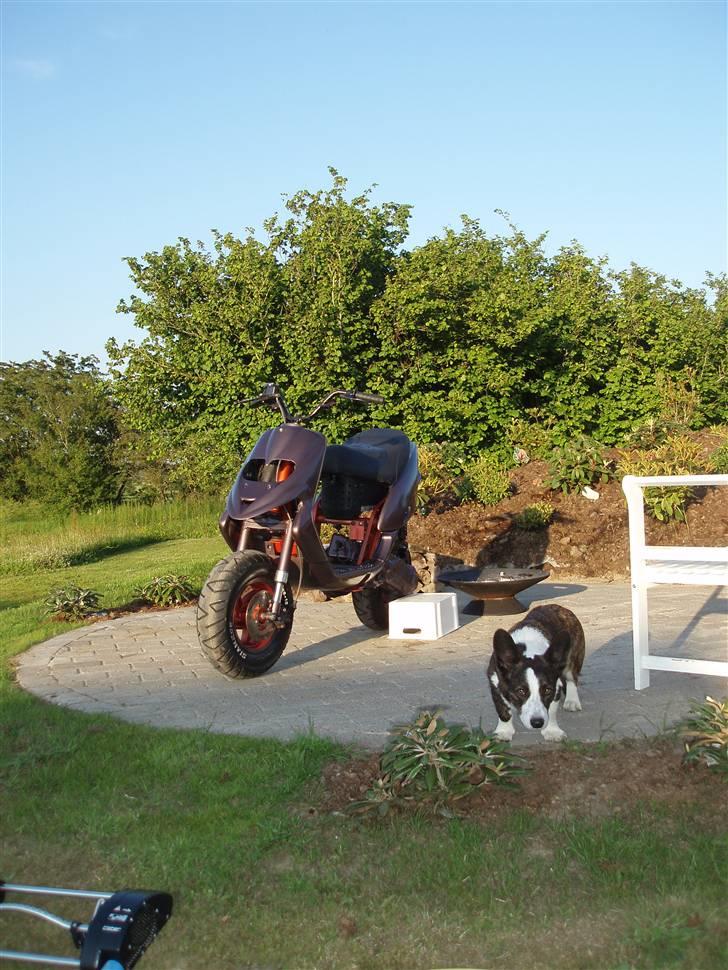 Gilera stalker - SOLGT billede 13