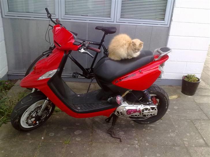 Yamaha bws ng/ Aerox billede 14