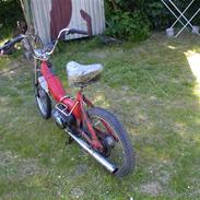 Puch maxi P / K