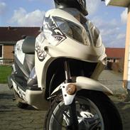 Giantco Spartan Solgt