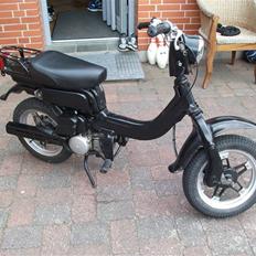 Suzuki FZ50 (SOLGT)