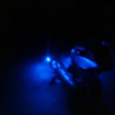 Aprilia Rally (totalskadet) 