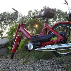 Puch Maxi K