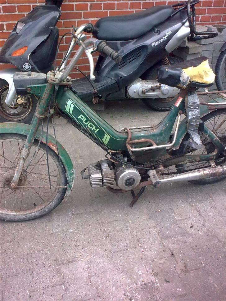 Puch maxi    TILBAGE billede 1