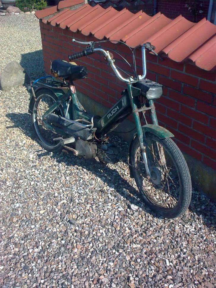 Puch maxi    TILBAGE billede 2