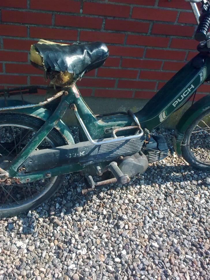 Puch maxi    TILBAGE billede 3