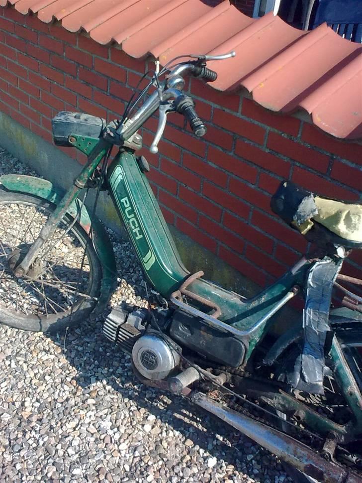 Puch maxi    TILBAGE billede 5
