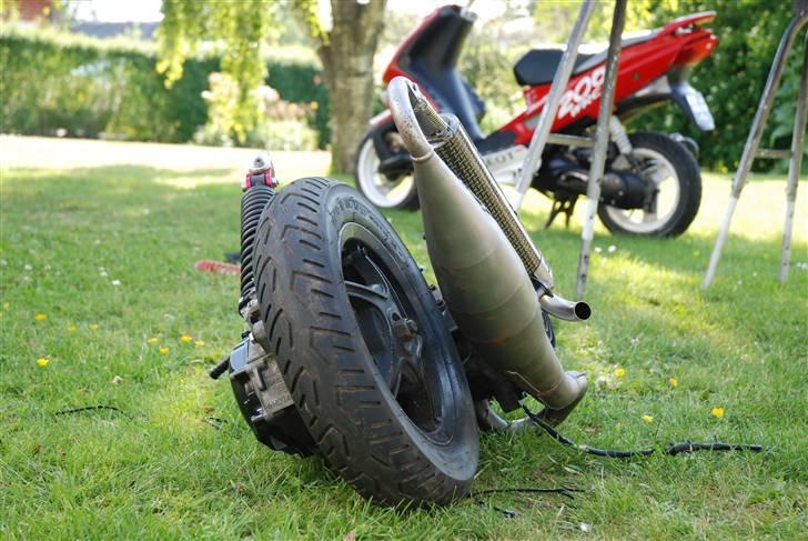 PGO Black fz (projekt 70%)<3 billede 2