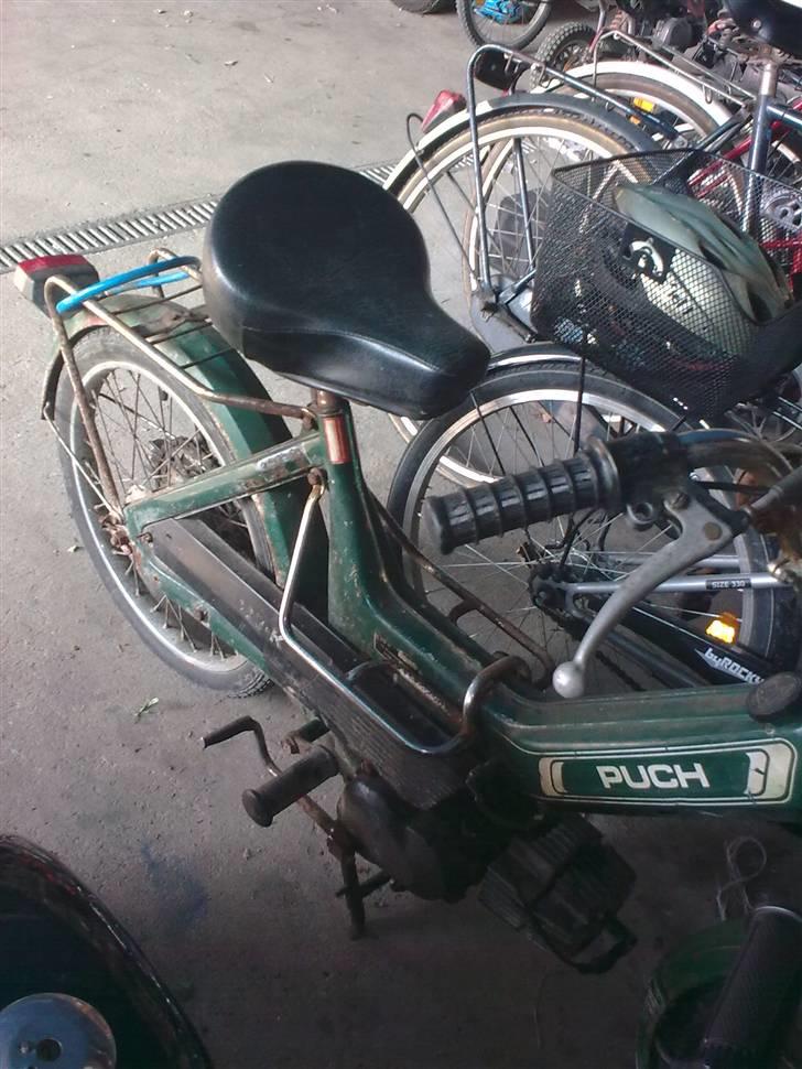 Puch maxi    TILBAGE billede 6