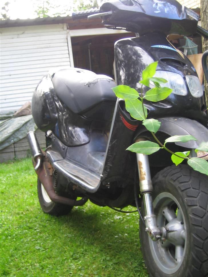 Aprilia rally  billede 1