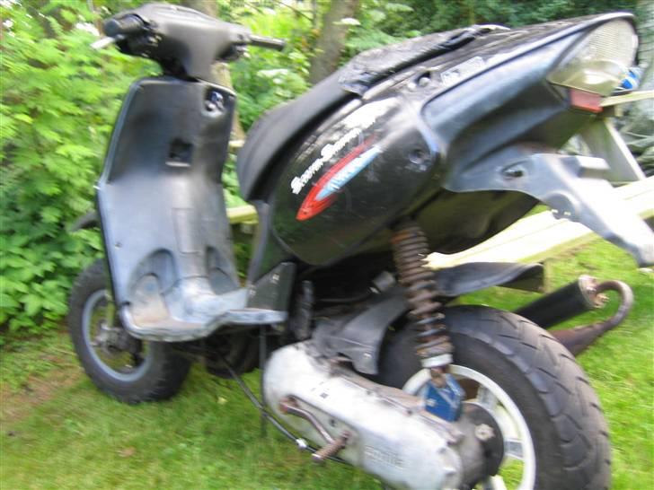 Aprilia rally  billede 6