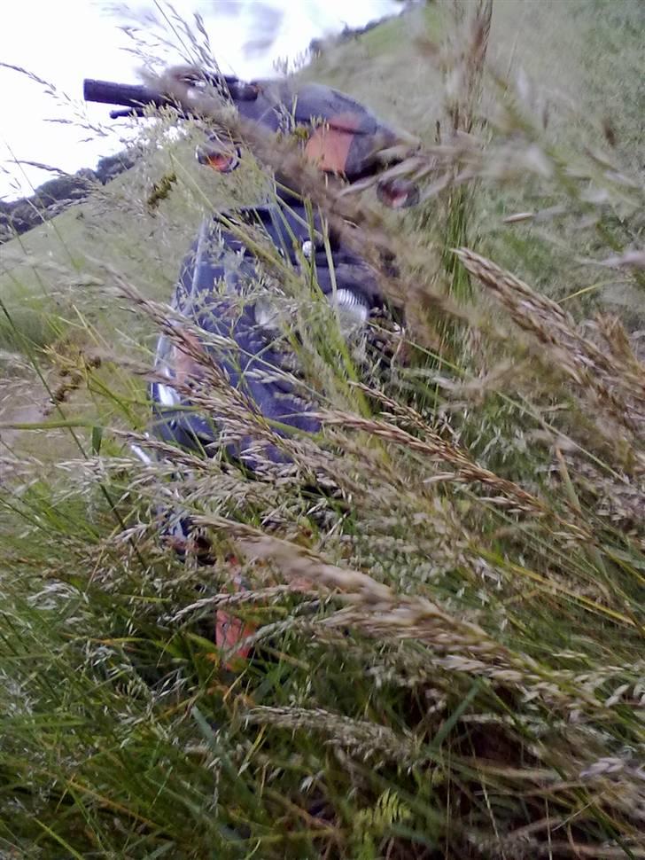 PGO pro hot ac (solgt) billede 8