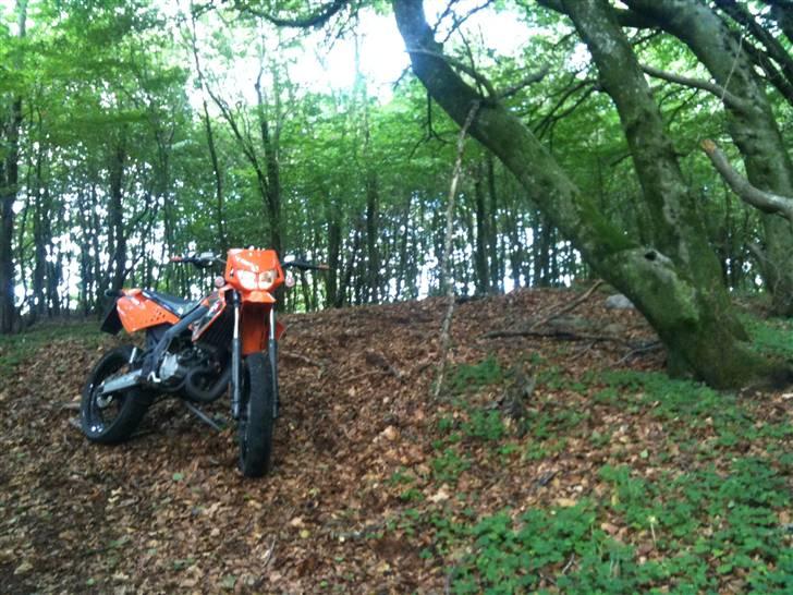 Derbi Senda billede 12