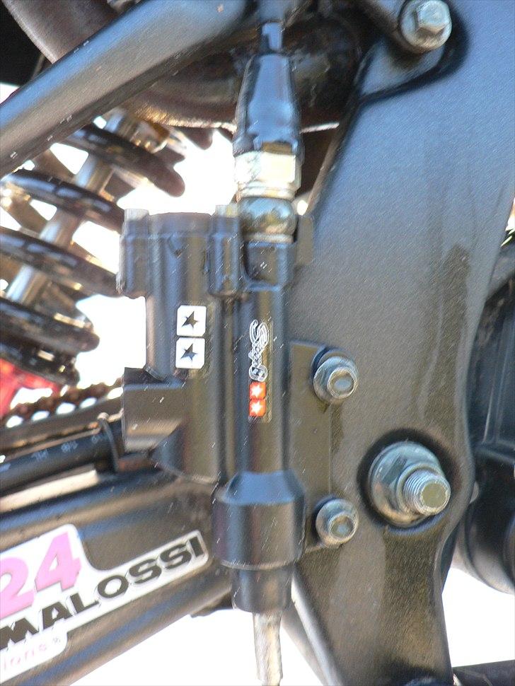 Xmotos XB31 Custom billede 5