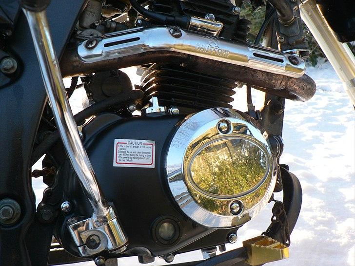 Xmotos XB31 Custom billede 19