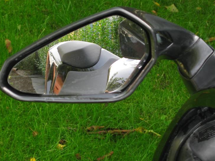 Derbi gpr 50 racing solgt billede 10