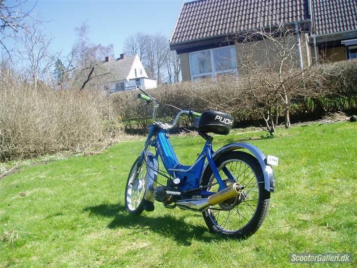 Puch Maxi P SOLGT billede 6