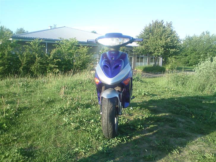 Adly silverfox billede 2