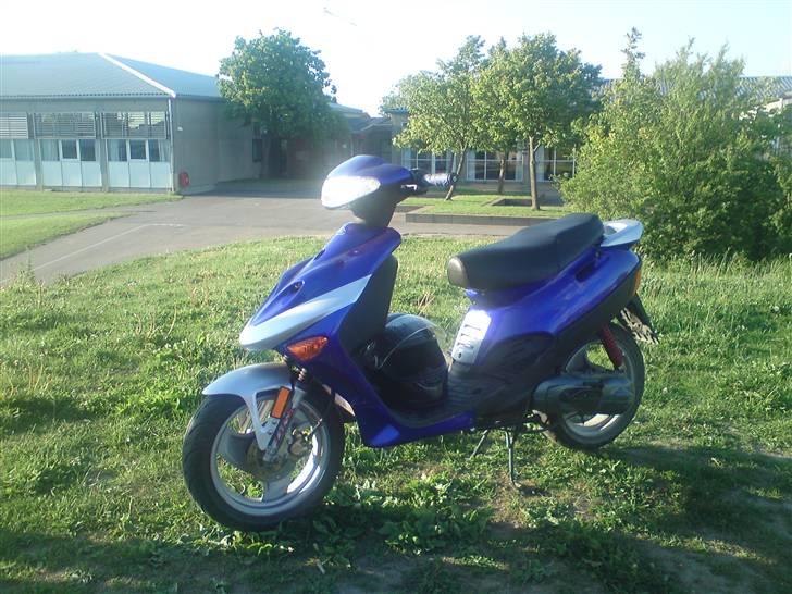 Adly silverfox billede 3