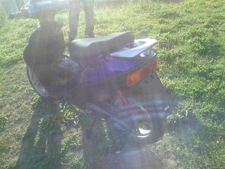 Adly silverfox billede 4