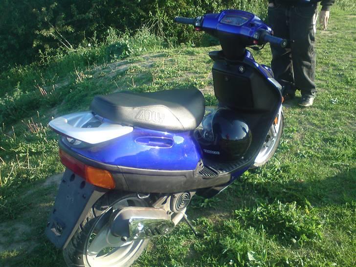 Adly silverfox billede 5