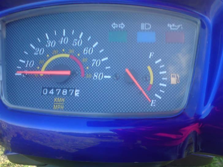 Adly silverfox billede 6